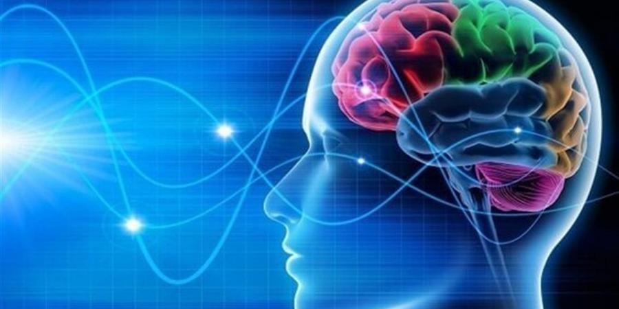 الأطعمة
      السريعة
      الأكثر
      ضررا
      للدماغ