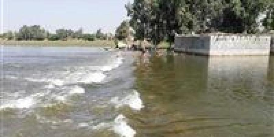 شراقي:
      مفيض
      توشكى
      أنقذ
      مصر
      من
      كوارث
      مائية
      متكررة
      منذ
      60
      عامًا