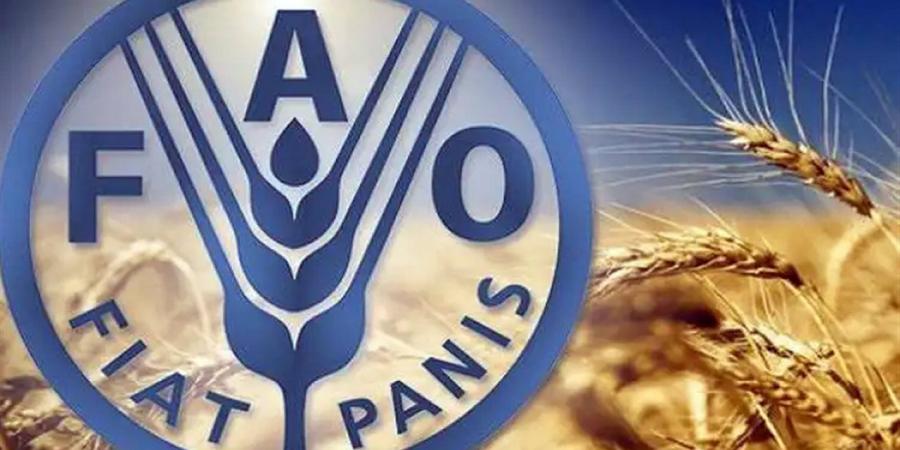 "الفاو"
      تحذر
      من
      "أزمة
      صامتة"
      تهدد
      مليارات
      البشر
      بسبب
      تدهور
      الأراضي
      وانخفاض
      الإنتاج
      الزراعي