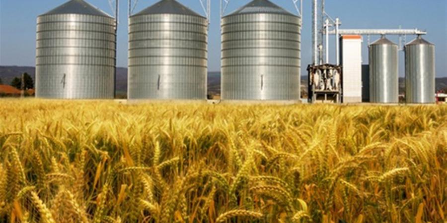 مصر
      تستهدف
      إنشاء
      50
      صومعة
      جديدة
      لرفع
      السعة
      التخزينية
      إلى
      1.5
      مليون
      طن