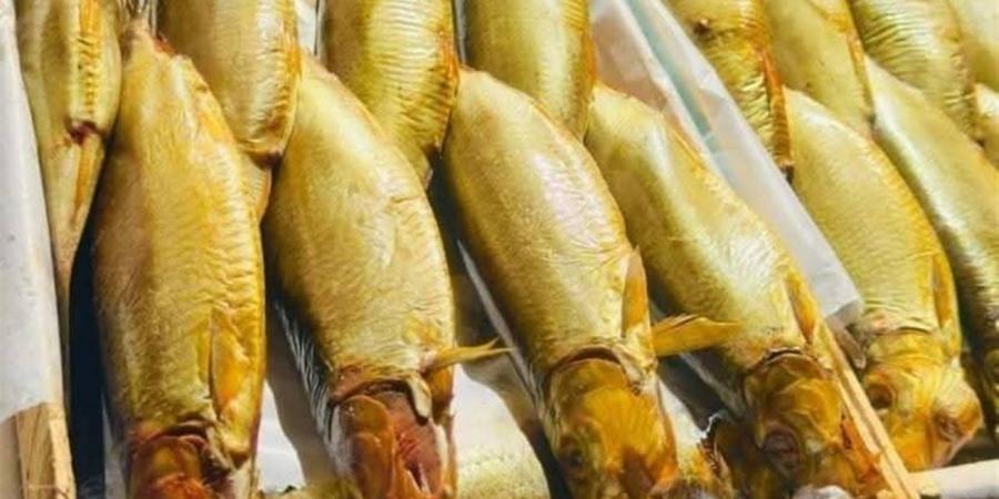 أسعار
      الفسيخ
      والأسماك
      المملحة
      في
      الغربية
      اليوم
      الإثنين
      3
      نوفمبر
      2025