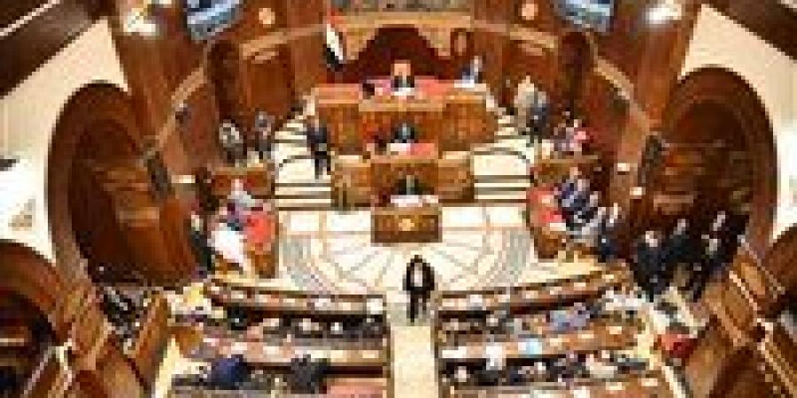 برلماني: انتخابات مجلس النواب المقبلة ستعكس وعي المصريين وتعزز المسار الديمقراطي