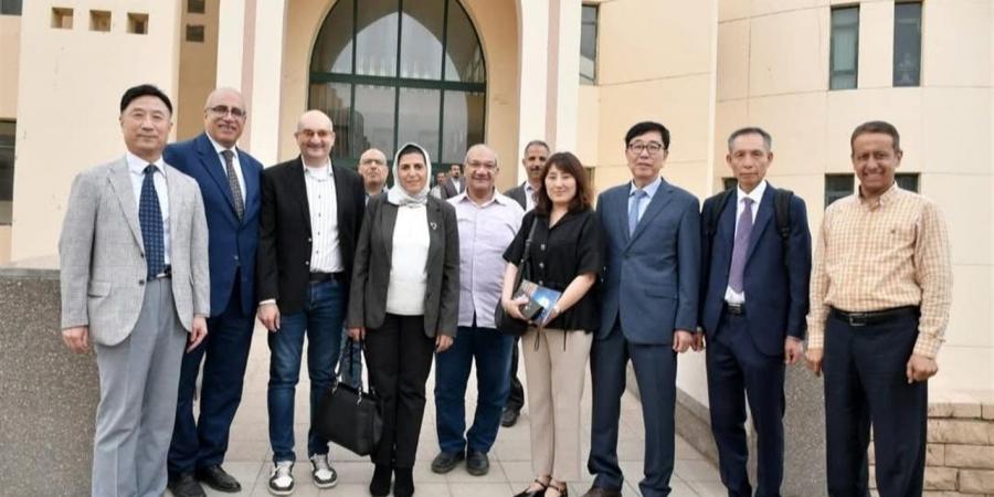 تعزيز التعاون المصري الكوري في مجال حماية الشواطئ والبحوث المائية