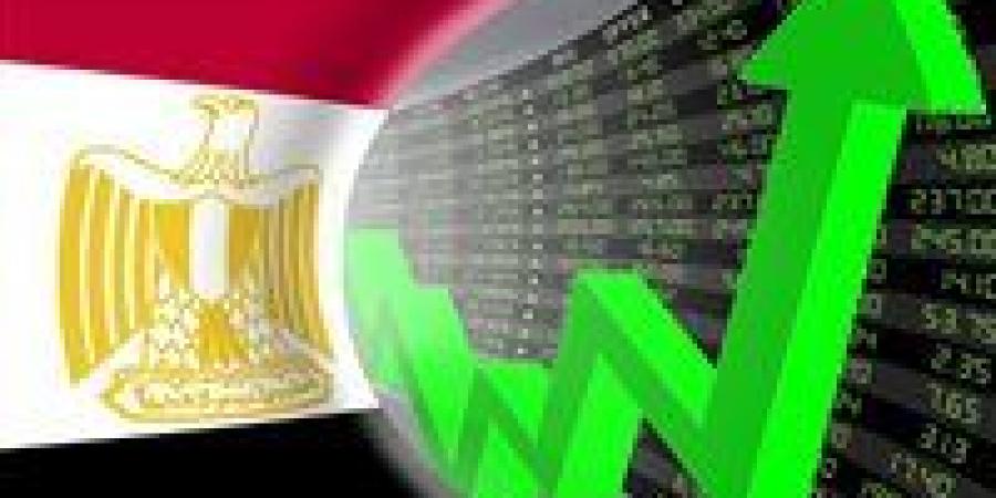 القطاع الخاص يقود اقتصاد مصر بـ66% من الاستثمارات في 2030