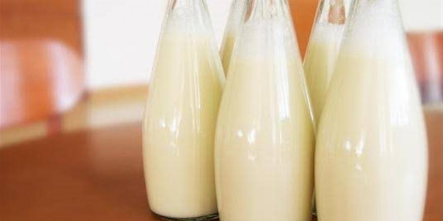 أسعار الألبان والجبن اليوم الأربعاء بأسواق الدقهلية