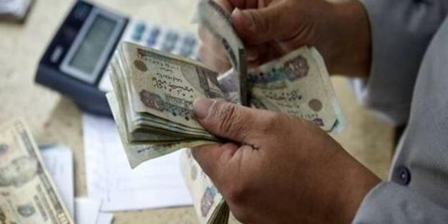 أعلى شهادة ادخارية في مصر بعائد يصل إلى 100% «فوائد 400 ألف»