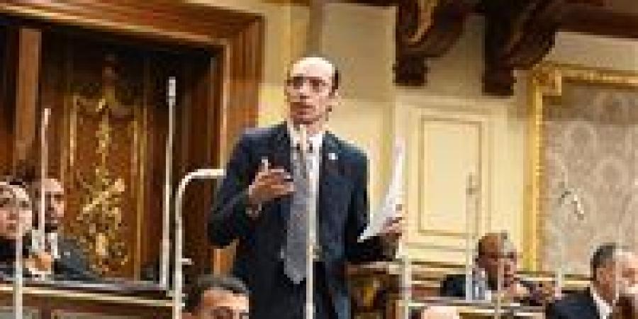 النائب محمد عبد العزيز: مصر تحصل على أعلى تصنيف دولي للمؤسسات الوطنية المعنية بحقوق الإنسان