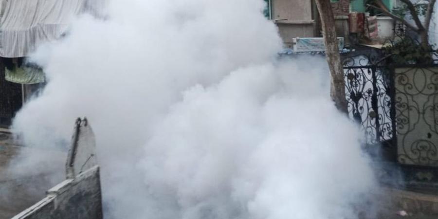 حملات للقضاء على البعوض والحشرات بحي غرب الإسكندرية