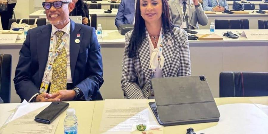 تكافل وكرامة يدعم 7.8 مليون أسرة مصرية ضمن نظام الحماية الاجتماعية المتكامل