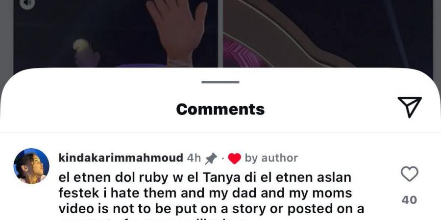 نجلة كريم محمود عبد العزيز تثر الجدل والسبب دينا الشربيني وروبي