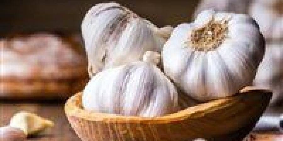 بعد تحذيرات وزارة الصحة منها.. 5 بدائل طبيعية قوية للمضادات الحيوية