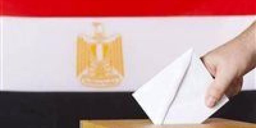 بدء تصويت المصريين في الأرجنتين وباراجوي بانتخابات مجلس النواب 2025