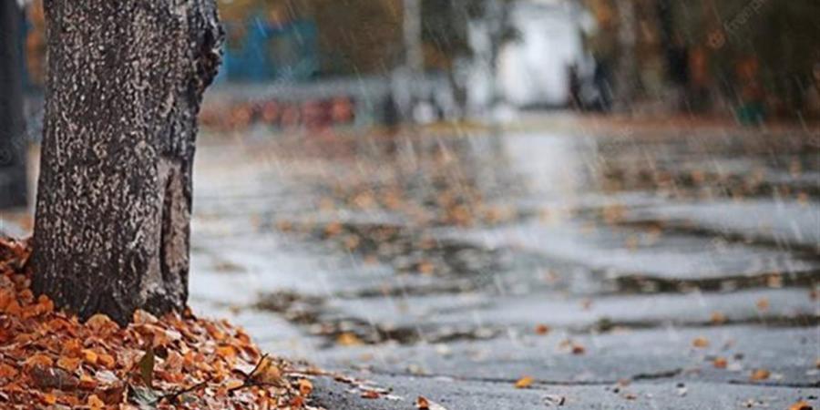 خريفى معتدل.. تعرف على درجات الحرارة اليوم بالغربية