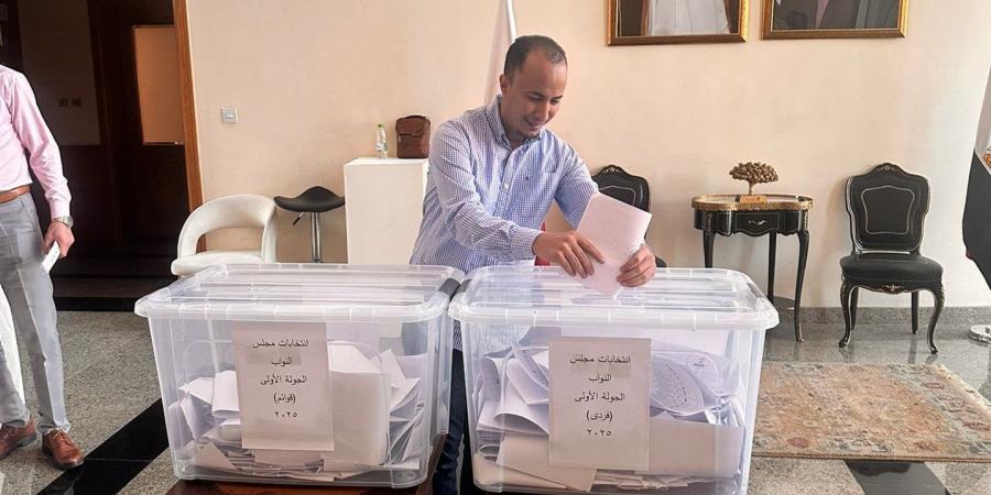 المصريون في قطر يواصلون التصويت في انتخابات مجلس النواب 2025