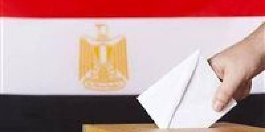 لليوم الثاني .. فتح باب الاقتراع في انتخابات مجلس النواب 2025 بـ 13 دولة