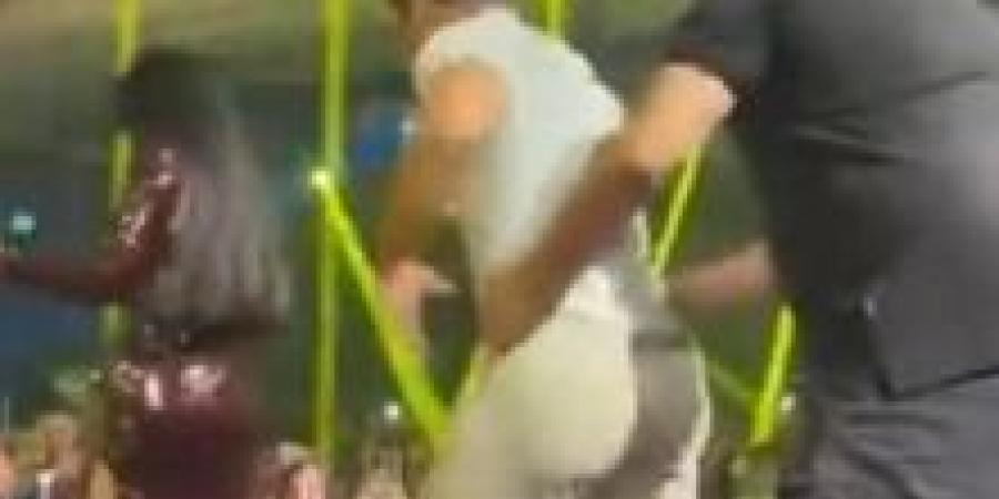 معجب يقتحم المسرح في حفلة هيفاء وهبي والبودي جارد يتدخل.. صورة