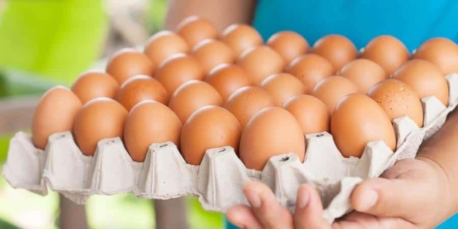 بـ 125 جنيها.. أسعار كرتونة البيض والدواجن في اليوم 8 نوفمبر 2025