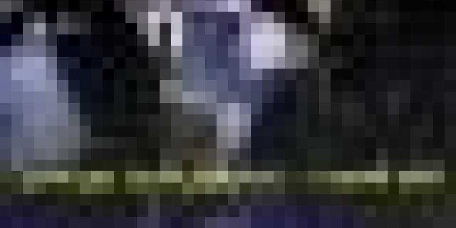 قوات BRI البليدة تداهم وتطيح بعصابات أحياء في مفتاح .. حجز مخدرات وأسلحة بيضاء وتوقيف 9 أشخاص