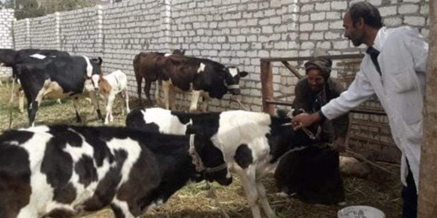 رئيس "العامة للخدمات البيطرية" يبحث مع محافظ الإسماعيلية جهود التحصين والسيطرة على الأمراض