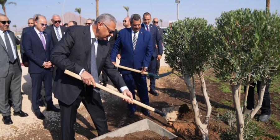 الهيئة تطلق أول سوق كربون طوعي في مصر وأفريقيا لدعم الحياد الكربوني