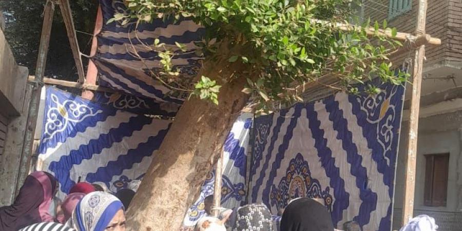 السيدة الصعيدية تصنع الحدث في المنيا مع إقبال كثيف على لجان شرق وغرب سمالوط