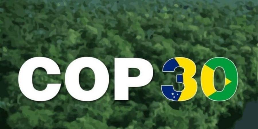 المراقب باتفاقية باريس لتغيّر المناخ: مؤتمر بيليم "COP30"محطة حاسمة في مسار العمل المناخي
