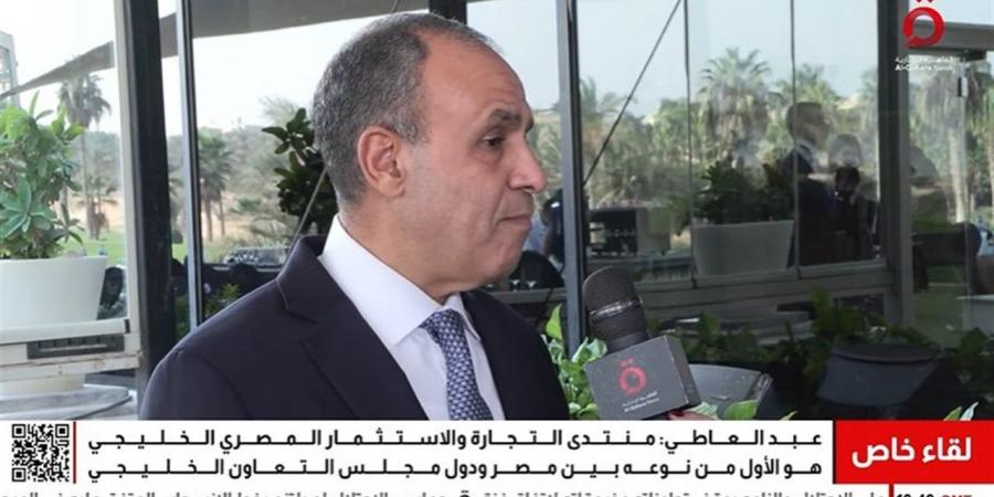 وزير الخارجية: مصر تبذل جهودًا مكثفة لتثبيت اتفاق وقف إطلاق النار في غزة