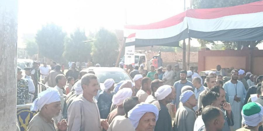 "التنسيقية": إقبال كثيف على اللجان الانتخابية بمحافظة أسوان