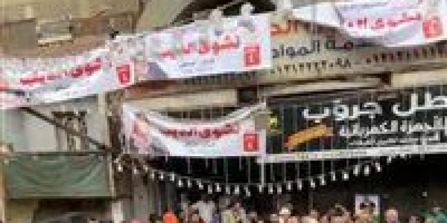 نشوى الديب تعلن انسحابها من سباق انتخابات مجلس النواب 2025