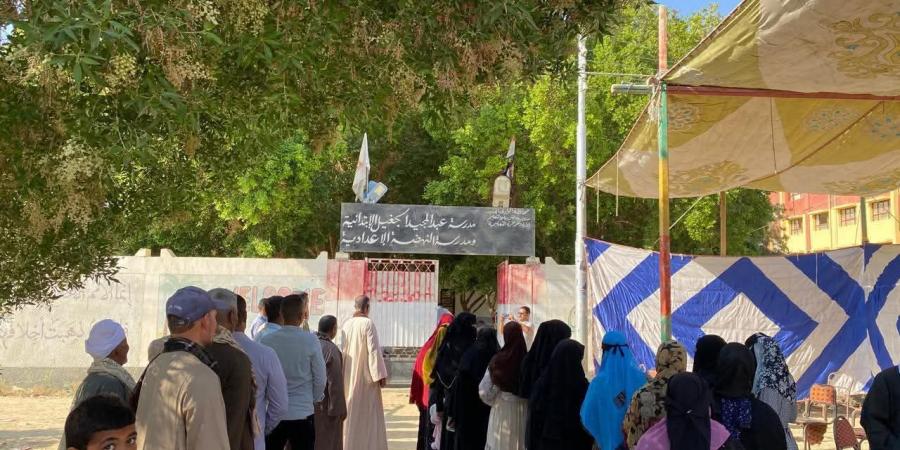 التنسيقية: انتخابات مجلس النواب تشهد إقبالًا بمدينة الفرافرة في الوادي الجديد