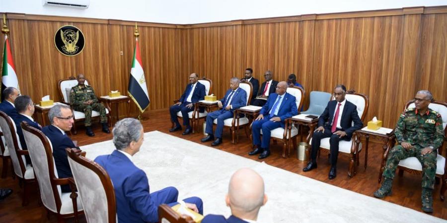 بتوجيهات من الرئيس السيسي.. وزير الخارجية يلتقي البرهان في السودان
