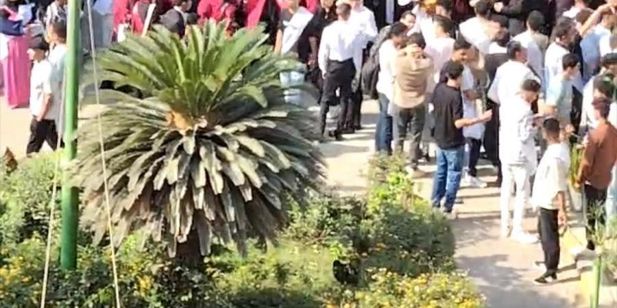 فرحة الصعايدة.. لجان الاقصر تواصل استقبال الناخبين لاختيار ممثلهم البرلماني