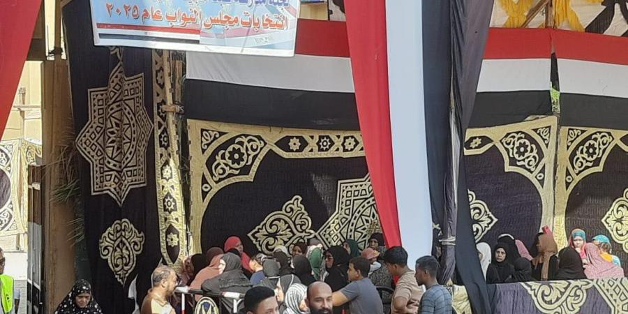 استمرار إقبال الناخبين على لجان الاقتراع في أسوان للتصويت في انتخابات مجلس النواب