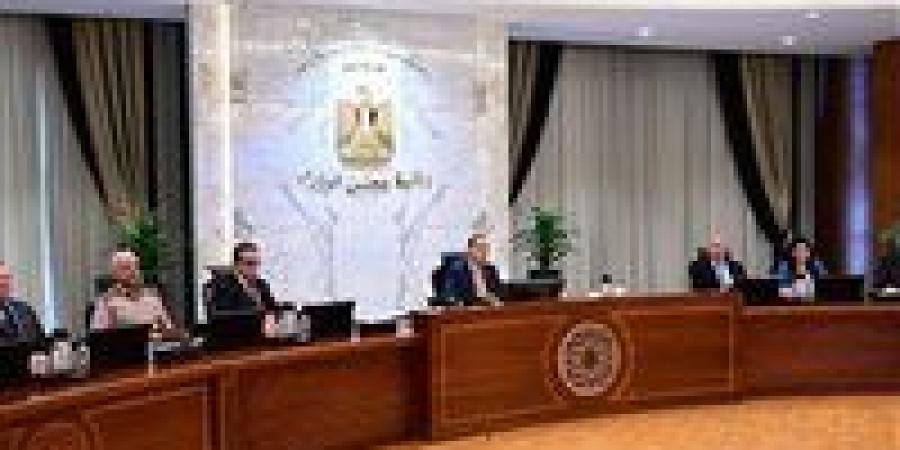 الوزراء: إجمالي الاستثمارات القطرية تقترب من 30 مليار دولار لهذا المشروع علم الروم