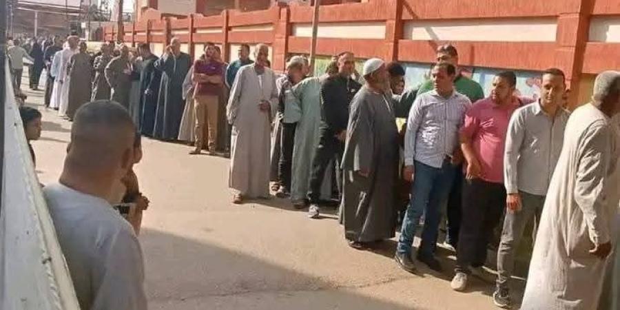 حشود من المواطنين أمام مقار اللجان الانتخابية في الدلنجات بالبحيرة
