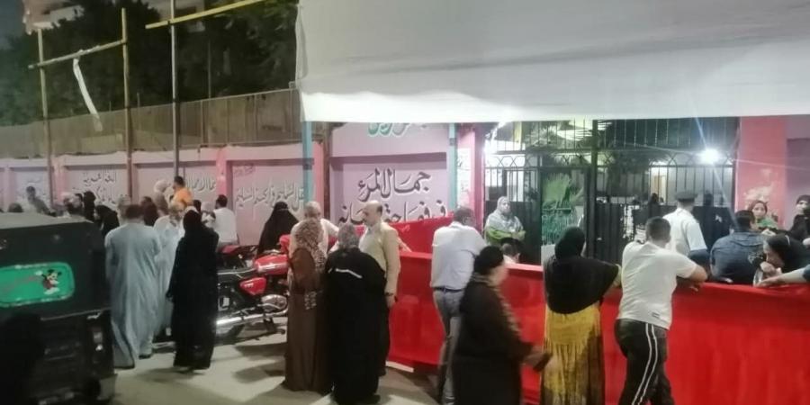 تنسيقية الأحزاب: إقبال ملحوظ للناخبين على لجان المنيب في انتخابات النواب