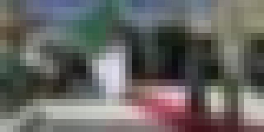 الفريق أول السعيد شنقريحة يستقبل وزيرة الدفاع وقدماء المحاربين لجمهورية زيمبابوي