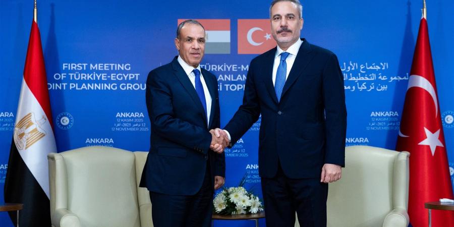 وزير الخارجية: القيادة السياسية المصرية حريصة على تعزيز التعاون المشترك مع تركيا في مختلف المجالات