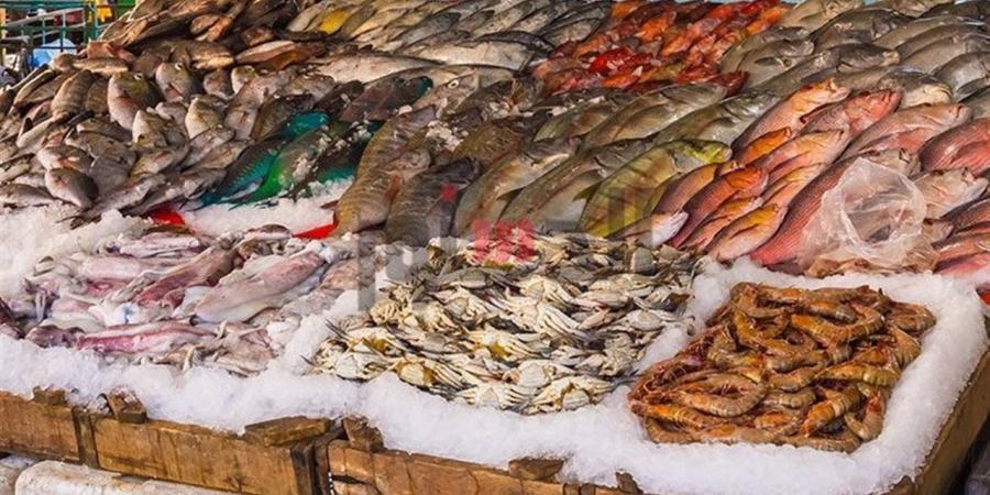 أسعار الأسماك والمأكولات البحرية اليوم في أسواق الدقهلية