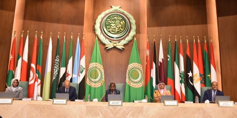 أبو الغيط: الشعب الفلسطيني تعرض لأبشع الجرائم والأفعال المنافية للإنسانية والأخلاق من محتلّ غاشم لا يحترم القانون الدولي