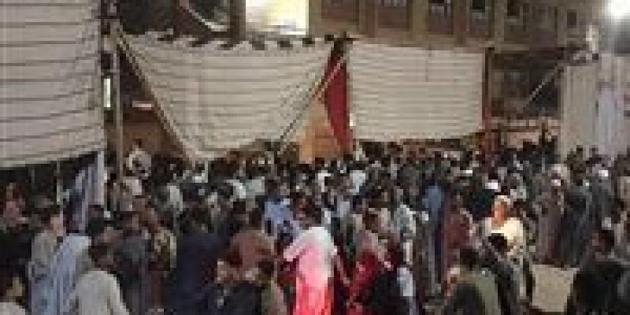 القرنة وأرمنت.. حزب الجبهة الوطنية يخسر أول مقاعده الفردية بانتخابات النواب 2025 في الدائرة الثانية بالأقصر