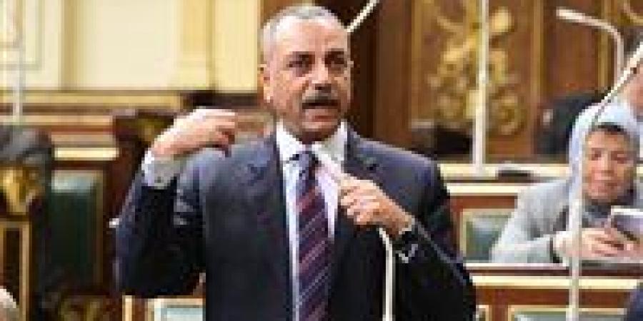 الطماوي: الإجراءات الجنائية نقلة حقيقية في ملف حقوق الإنسان