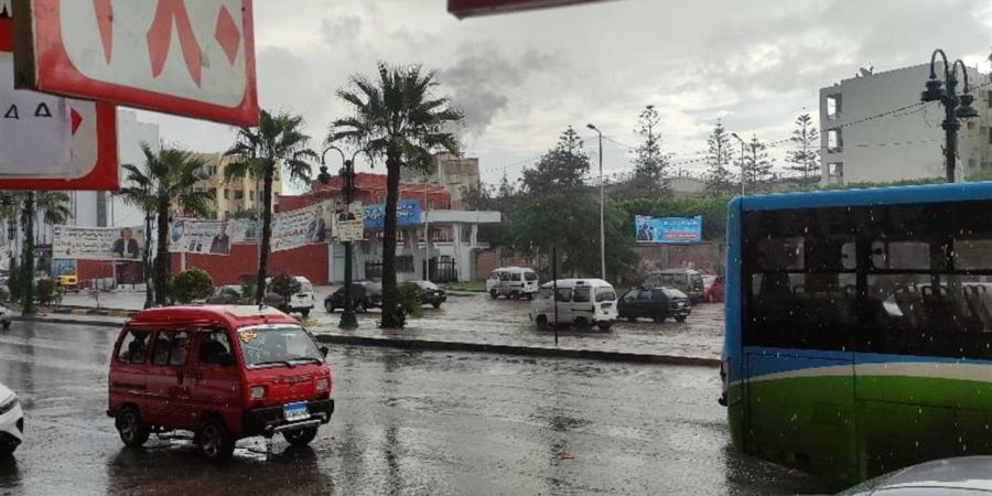 أمطار رعدية وبرق.. "الأرصاد" تُحذّر من تقلبات الطقس خلال الساعات المقبلة