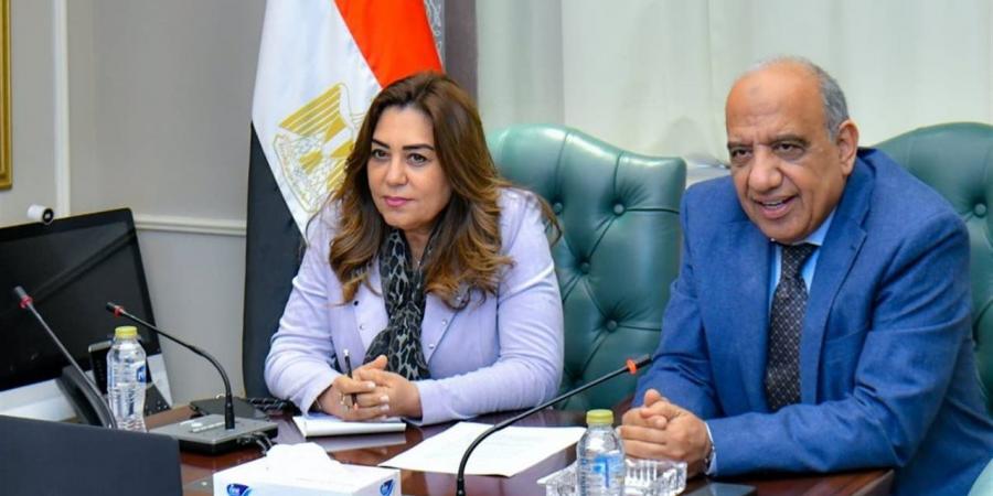 وزيرا الكهرباء والتنمية المحلية يبحثان التعاون في الطاقة والبيئة والموارد الطبيعية