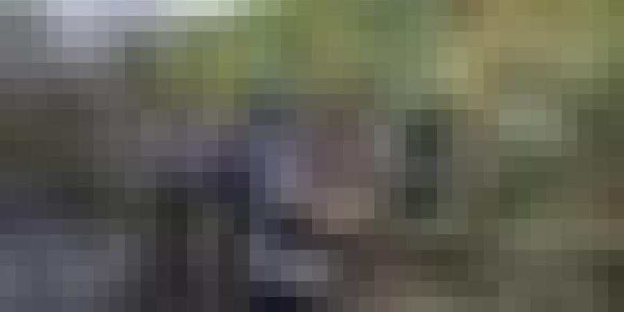 الحـالة العامة لحرائق الغطاء النباتي عبر 8 ولايات