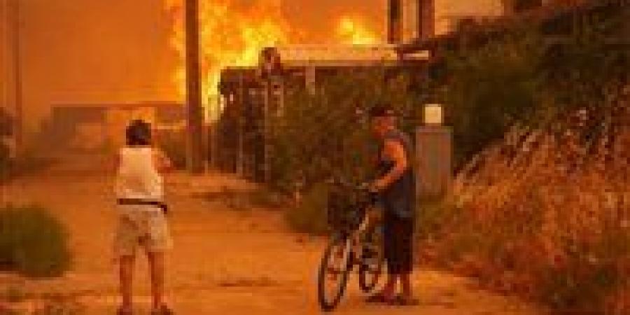 حرائق غابات الجزائر: النيران تلتهم 11 ولاية ونداء عاجل من السلطات