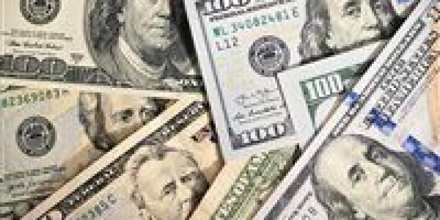 ومن الحظ ما يملأ الجيوب".. أمريكية تفوز بخمسين ألف دولار رغم الخطأ