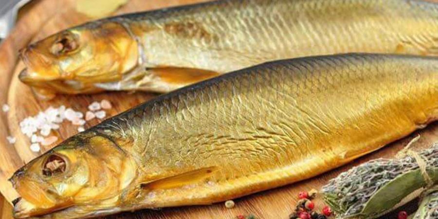 أسعار الرنجة في الغربية اليوم الجمعة 14 نوفمبر 2025