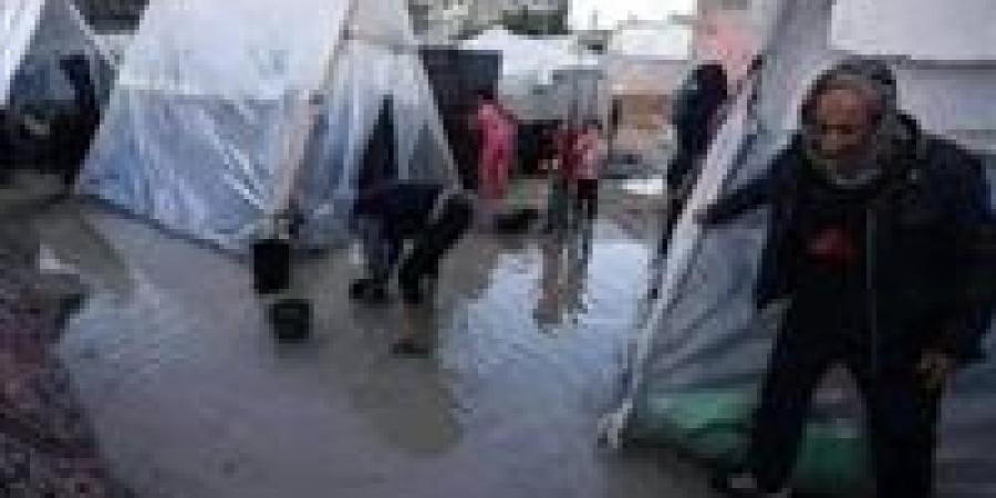 المتحدث باسم اللجنة المصرية في غزة: نلبي الإستغاثات في كثير من مناطق القطاع