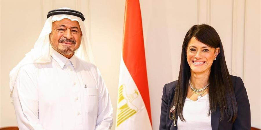 وزيرة التخطيط تبحث سبل التعاون مع رئيس "مستشفيات السعودي الألماني"